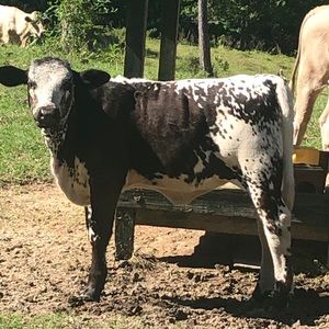 Meet your Posher, Derek